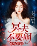 夜吻情深:冥夫不要闹