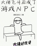 大佬飞升后成了游戏NPC