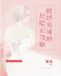 傲娇男神的追妻路