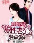 萌妻养成