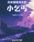 剑来：骊珠洞天的小乞丐