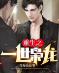 重生之一世枭龙
