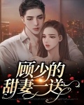 顾少娶一送二全文免费