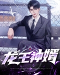 龙王神婿