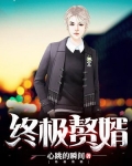 终极赘婿免费苏晨