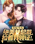 女总裁失忆的电视剧