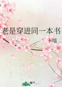 老穿进同一本书的作者