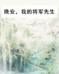 晚安，我的将军先生