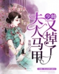 少帅：夫人马甲又掉了