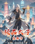 极品太子都市小说