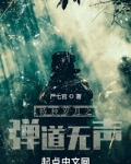 特种岁月之弹道无声