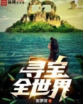 寻宝全世界叶天笔趣阁
