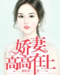 娇妻高高在上