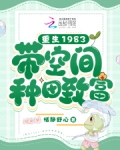 重生八零：带空间种田致富