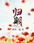 离婚后的故事小说