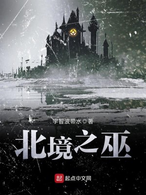 北境之王 百科