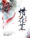 惜花芷电视剧正式官宣演员
