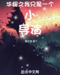 华娱之我只是一个小导演