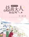 妻约不负：总裁大人别太坏
