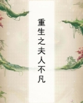 重生之夫人不凡
