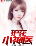 护花小神医大结局