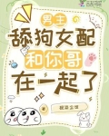 男主是舔狗古言