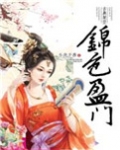 锦色盈门小说