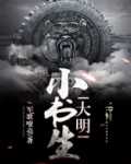 大明小书生