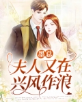 墨总夫人又在兴风作浪短剧