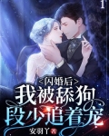 闪婚后，我被舔狗段少追着宠