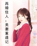 再婚佳人：美妻重逢记