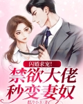 “闪婚成瘾:大佬娇妻宠上天”
