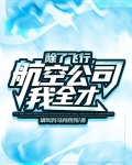 除了飞行航空公司我全才小说