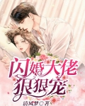 闪婚后豪门大佬独宠我