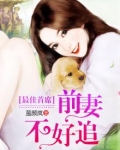 最佳首席:前妻不好追