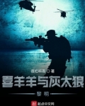 喜羊羊与灰太狼黎明 夜栏听雨