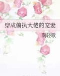 穿成偏执大佬的宠妻全文阅读