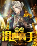 极品混世高手主人公几个老婆