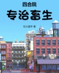 四合院知乎