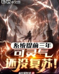 系统提前三年,可灵气还没复苏! 赤红爱好者