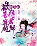 择夫记小说
