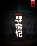 俄罗斯寻宝记小说