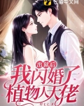 出狱后,我闪婚了植物人大佬还叫什么