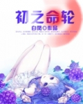 初限命运甚来是什么意思