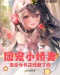 裴总的小甜妻