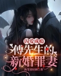 傅先生瘾婚成爱完结