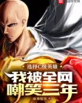 选择C级英雄,我被全网嘲笑三年 102