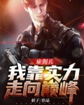 雇佣兵小说完本