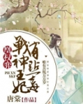 凰权弈：战神王妃有点毒