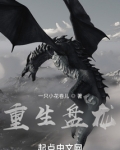 重生盘龙之风行天下